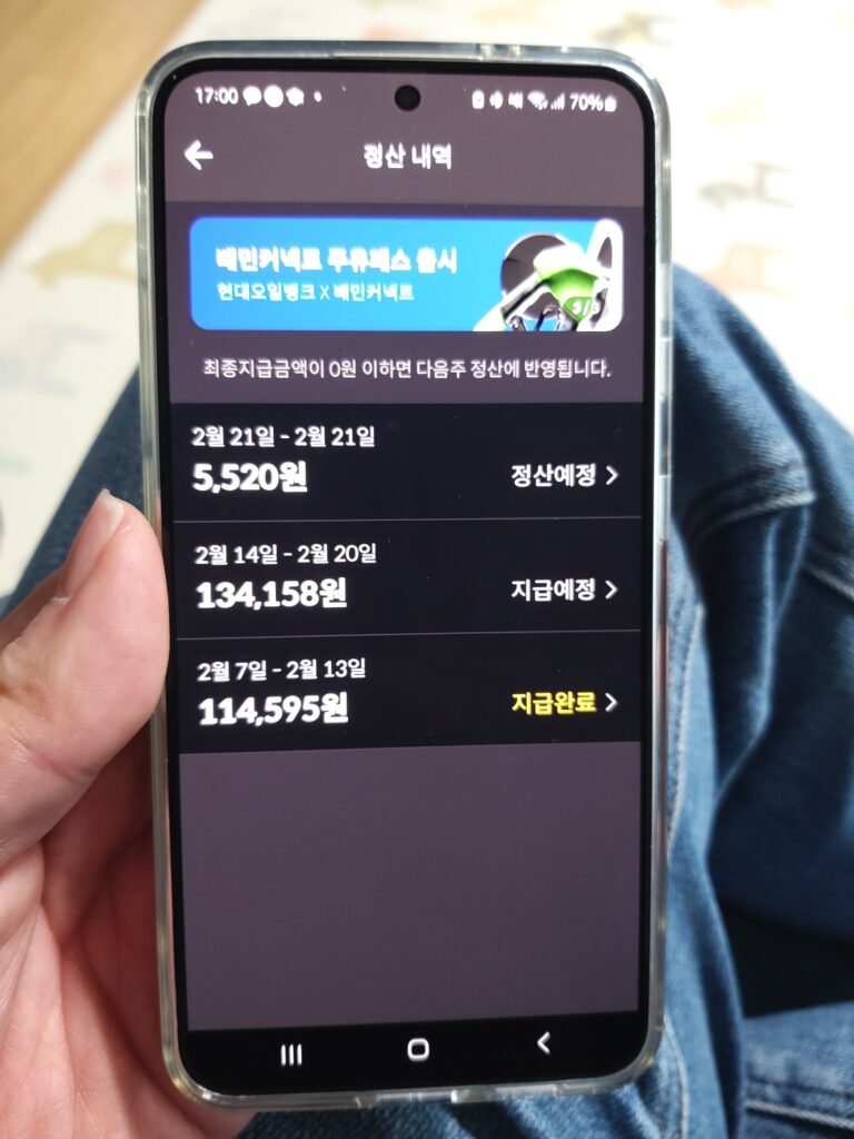 배민커넥트 정산내역