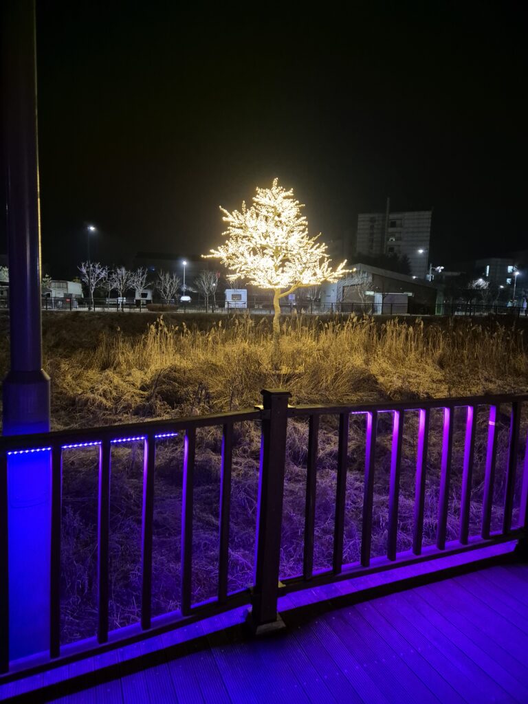 직산 삼거저수지 불빛 나무