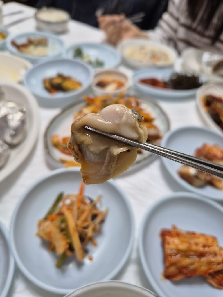 변산 군산식당 백합 속살 맛있다!