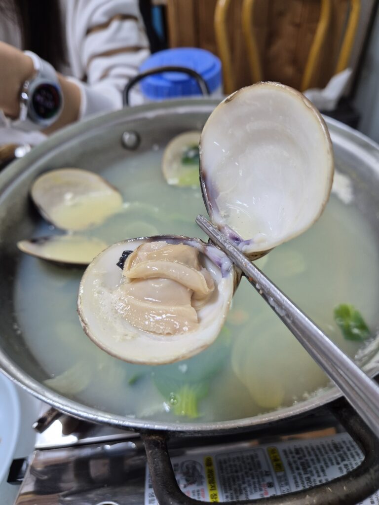 변산 군산식당 백합탕 속살