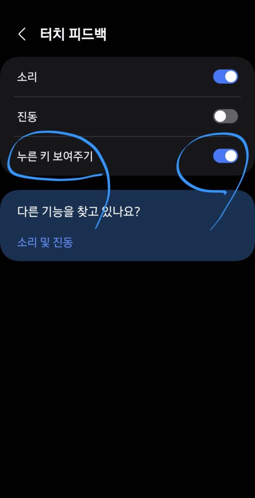 "누른 키 보여주기" 기능을 켜