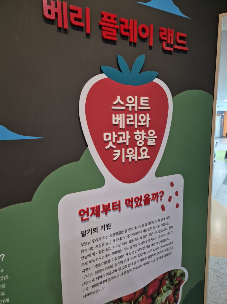 딸기테마관 실내 시설 딸기설명
