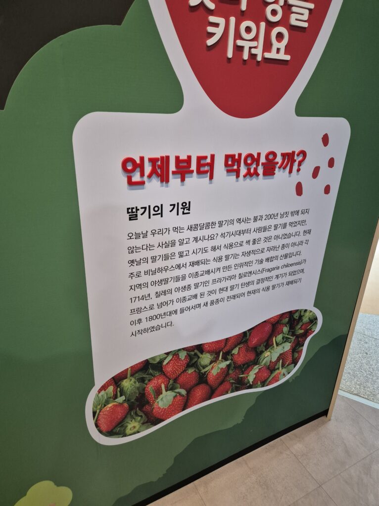 딸기의 기원