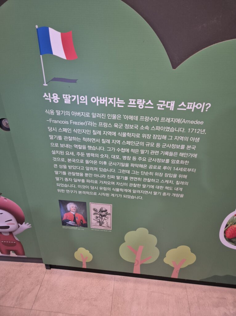 딸기테마관 식용딸기가 생긴이유?