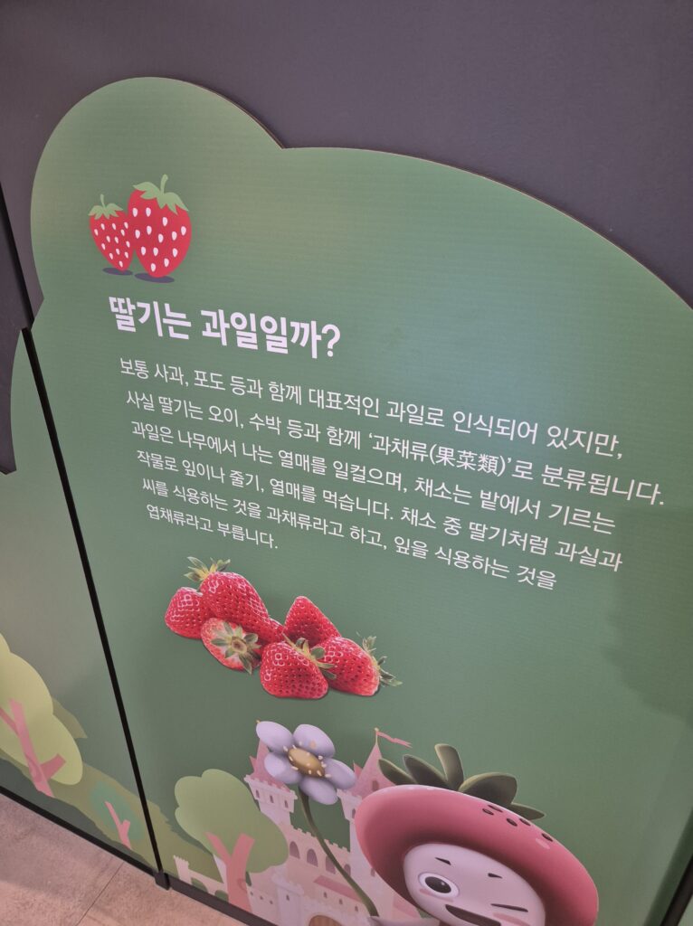 딸기는 과일일까?