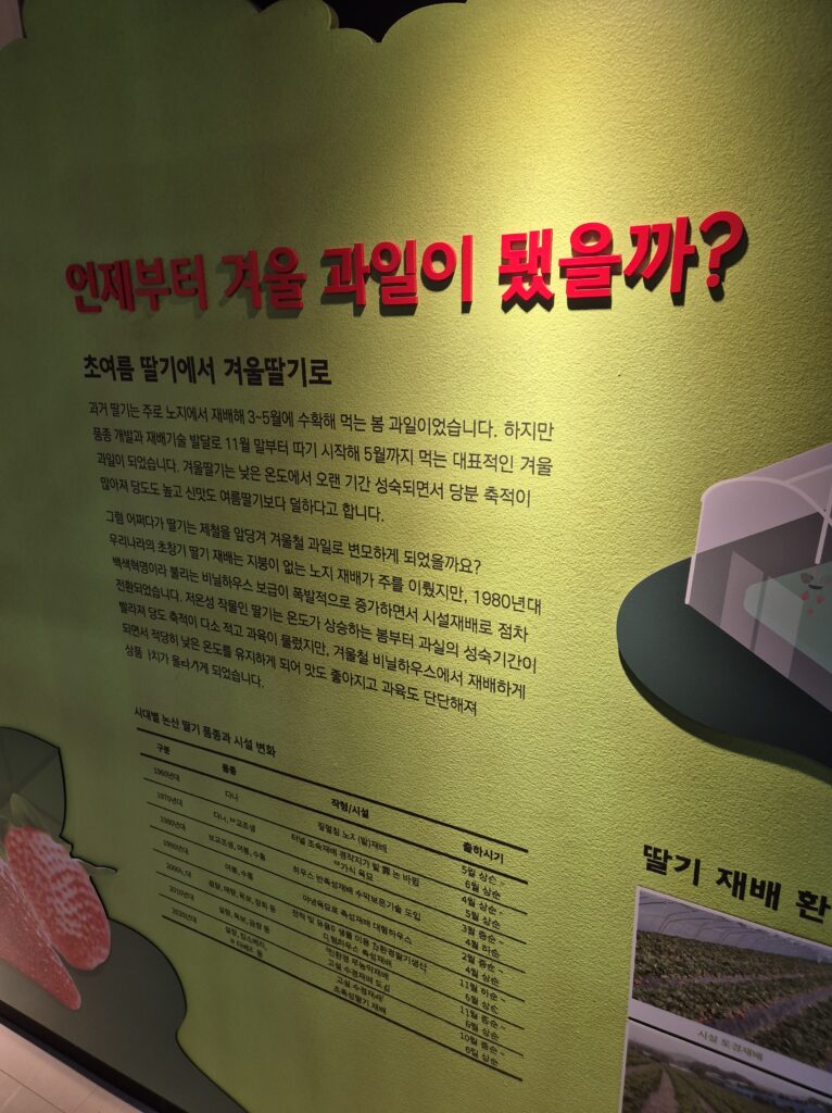 겨울에 딸기가 더 맛있는 이유는?
