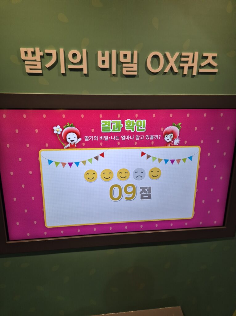 딸기 ox 퀴즈