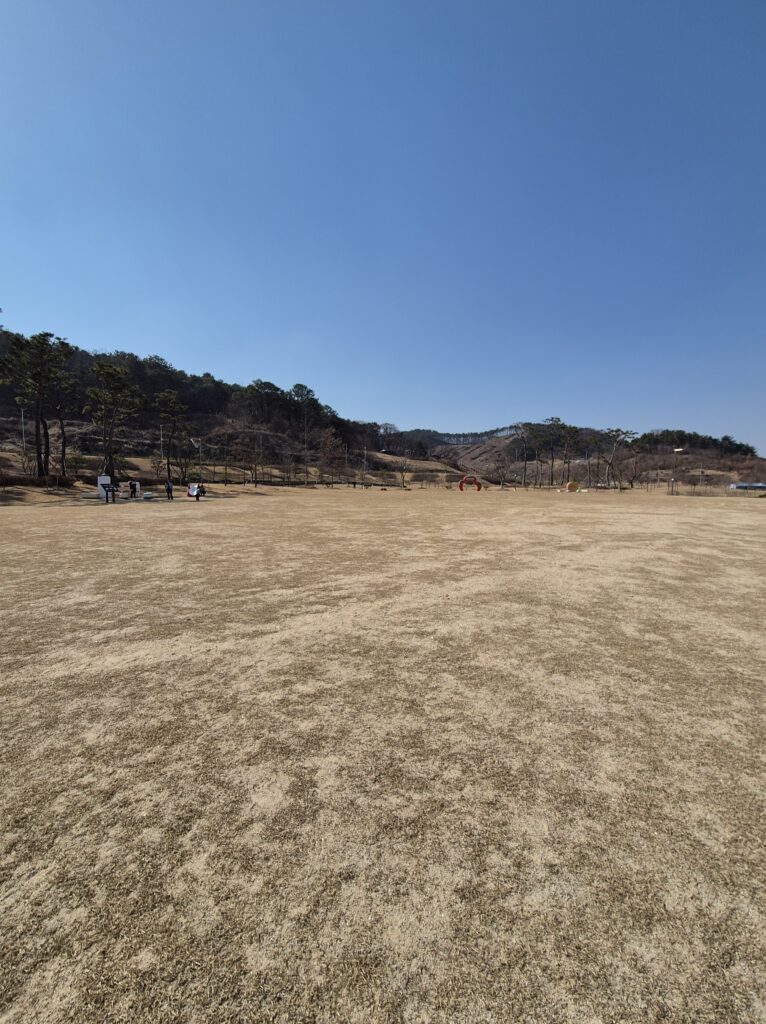 논산 딸기향 농촌테마공원 넓은 잔디공원