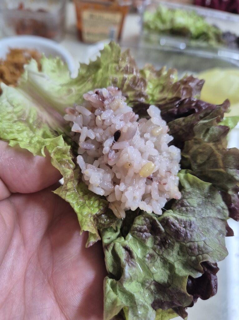 상추에 백진주 밥이랑