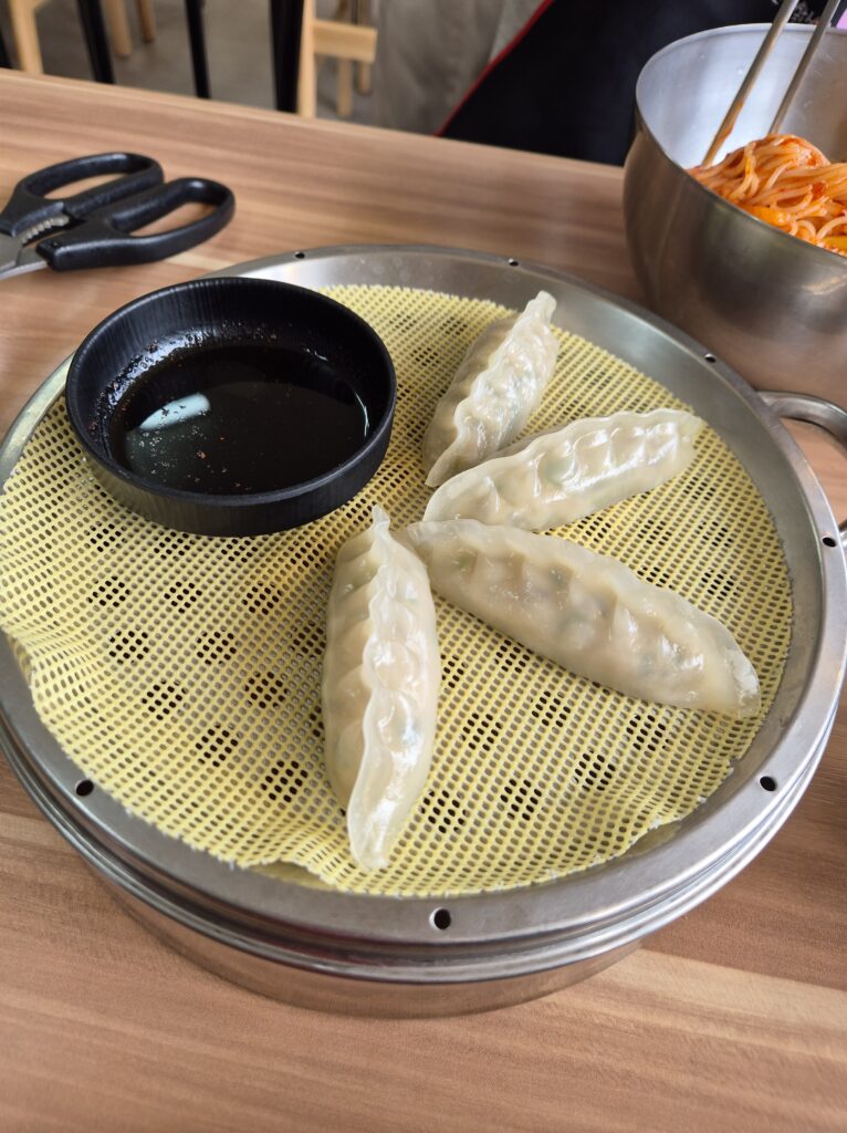 경주 밀면 현대밀면에서 사장님 서비스로 받은 만두
