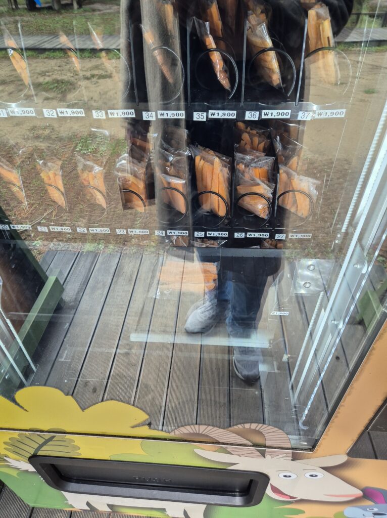 당근 먹이 1팩 1900원