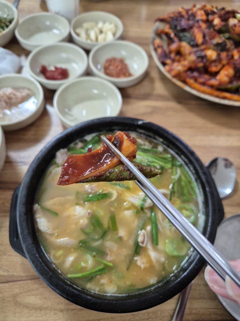 경주단골식당 오징어불고기 탱글거리는 식감이 좋다