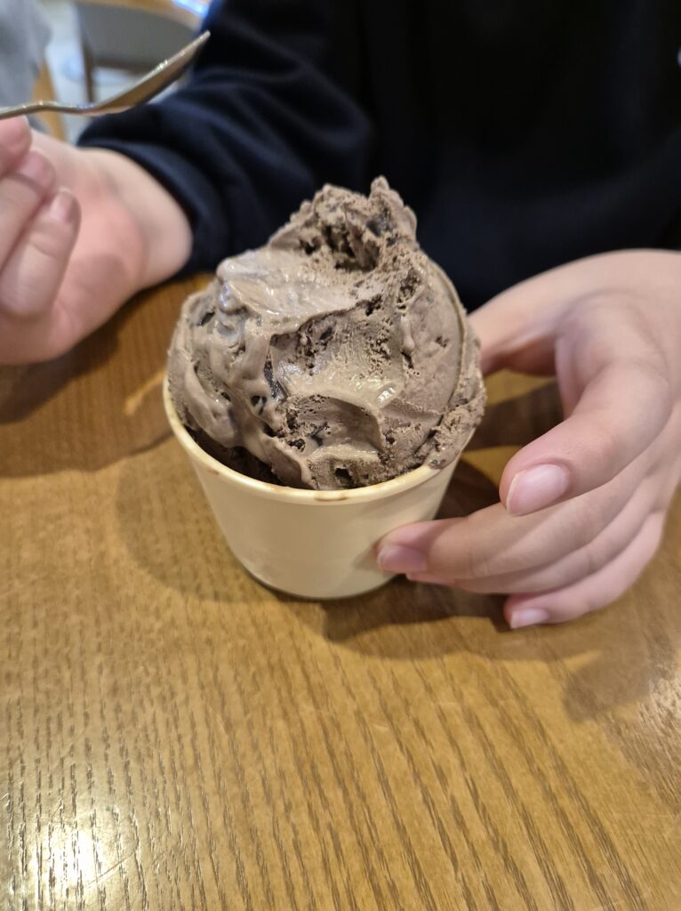 BR31 초콜릿 무스의 맛