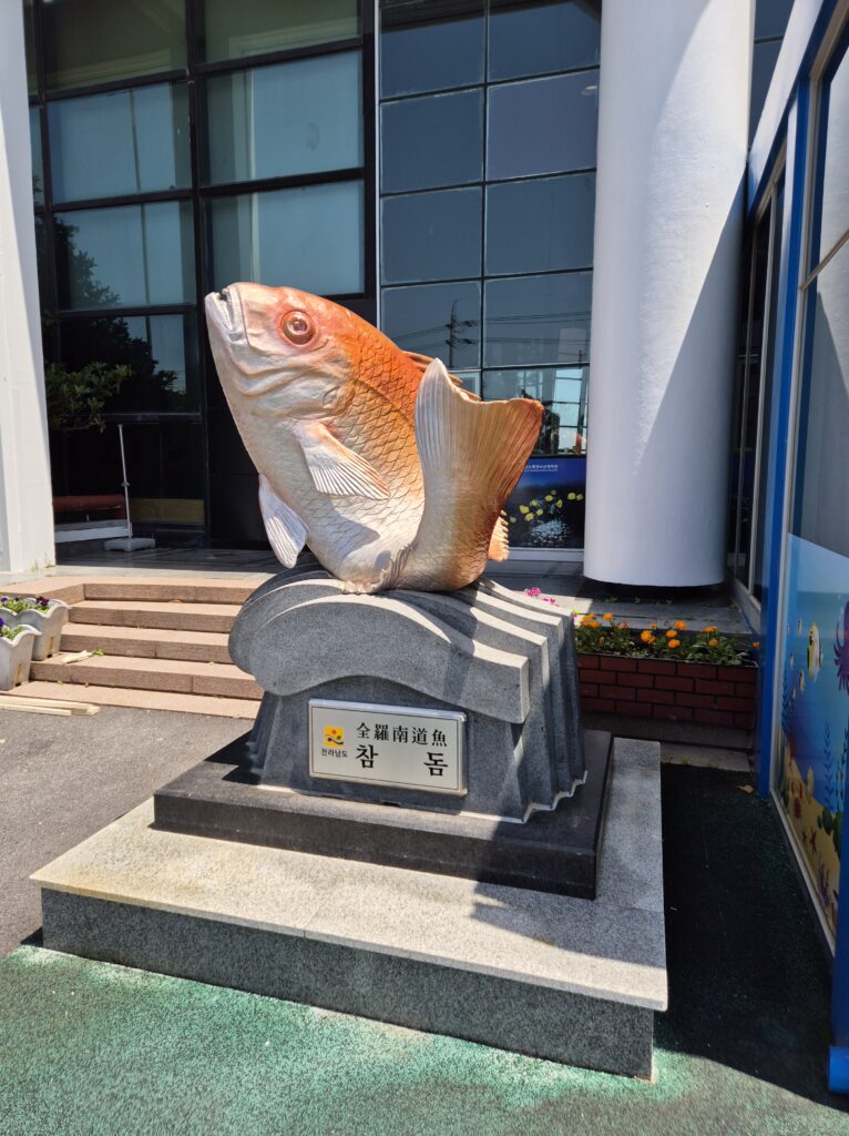 해양수산과학관 참돔 상