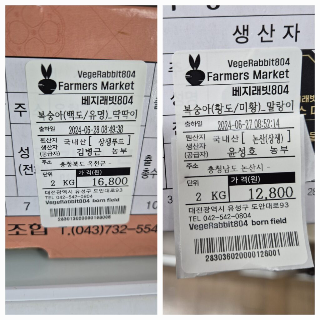 구매한 복숭아 백도 유명, 황도 미황