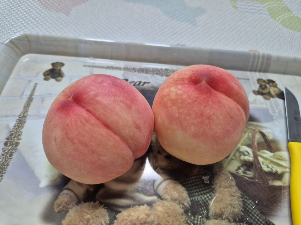 핑크빛이 도는 마도카 복숭아
