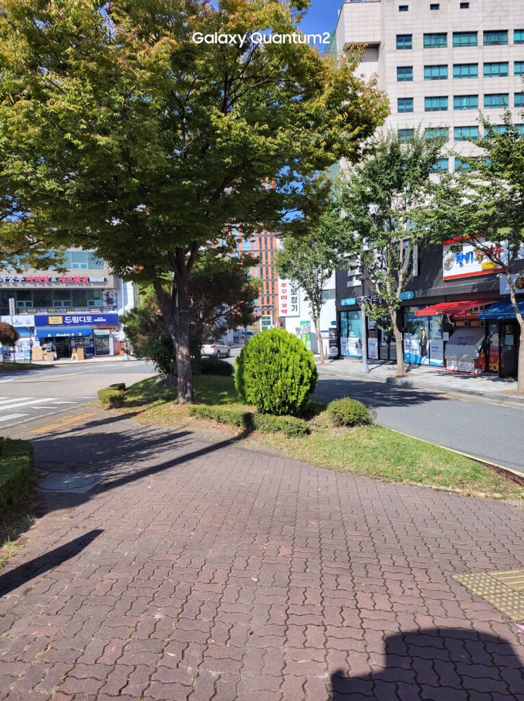 멀리 쭈꾸미가 빨간색 글씨로 써진곳으로 가세요