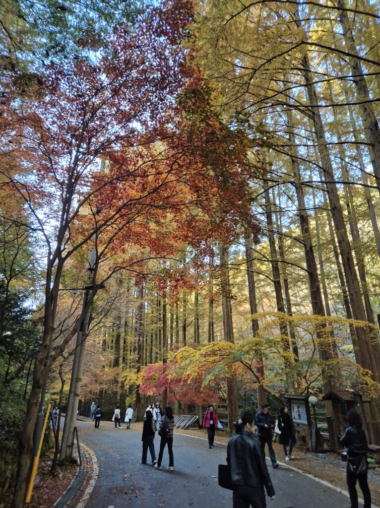 대전 장태산 전망대 가는길 카페