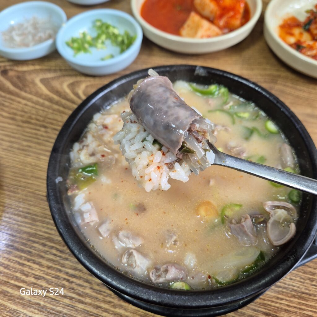 대전 최고 순대국밥 맛집 한우물순대국밥