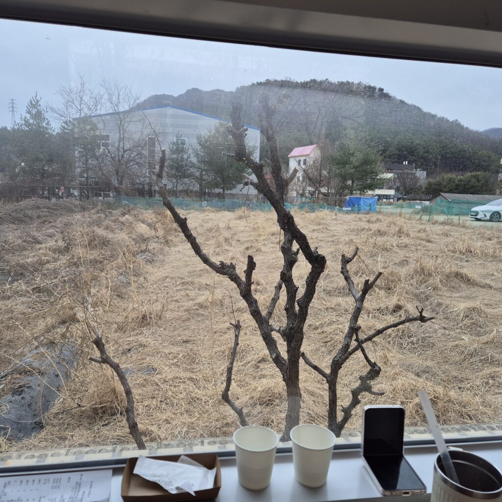 소소림 카페 뷰