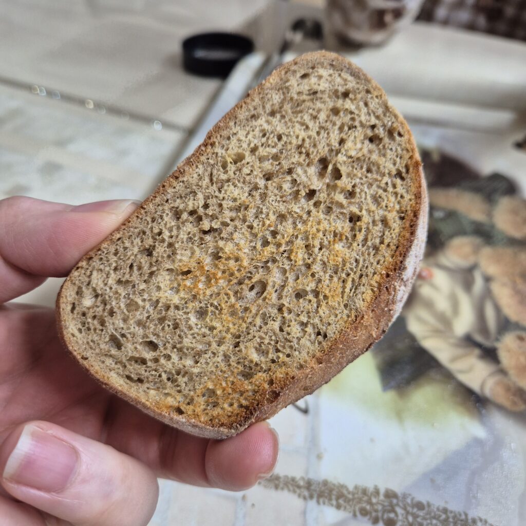 김코치빵 통호밀빵