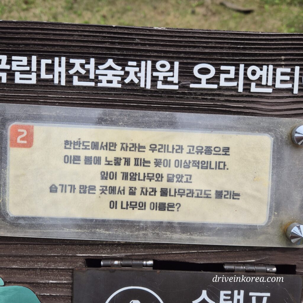 맑은학교 숲 오리엔테어링 문제