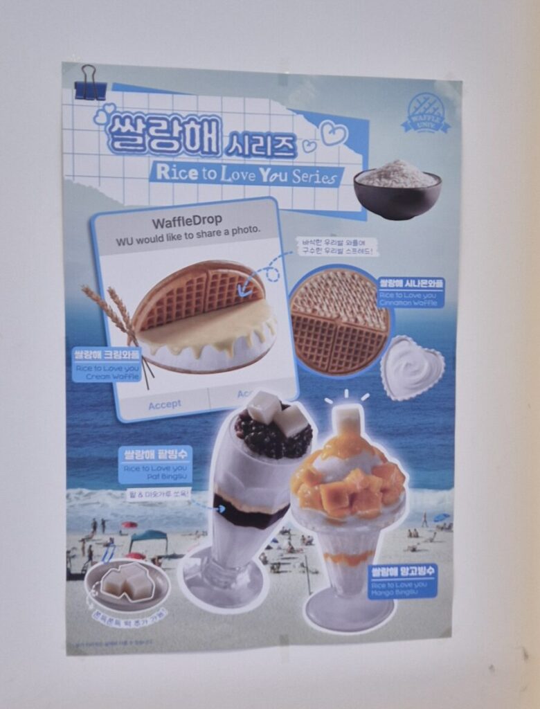와플대학 쌀랑해시리즈