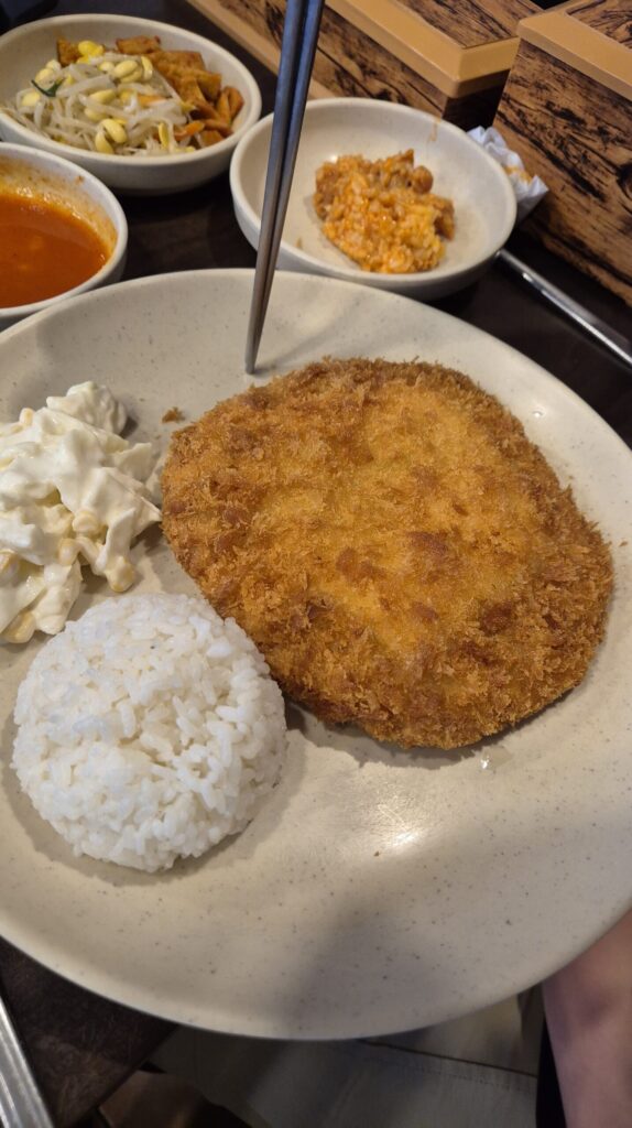 대전맛집 나영왕돈까스 치돈