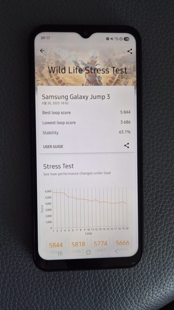 점프3 3D WILD LIFE STRESS TEST 점수