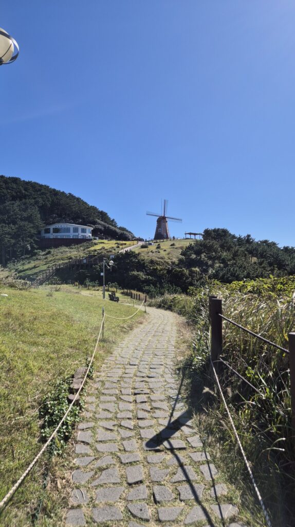 바람의언덕 풍경