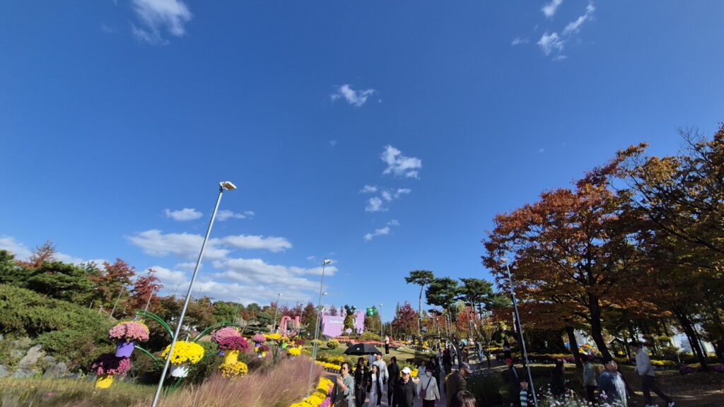 유림공원 국화축제 가을엔 역시 국화축제가 짱