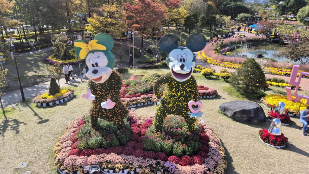 미키마우스도 국화옷을 입음.