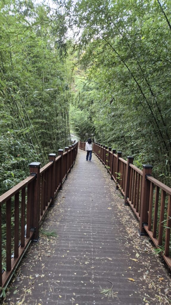 기분좋게 도안동에서 식사후 산책을 하고옴