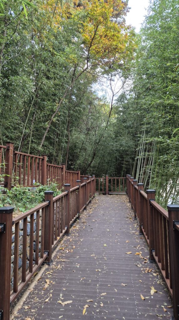 도안동 산책길 유아숲체원 시작 부분