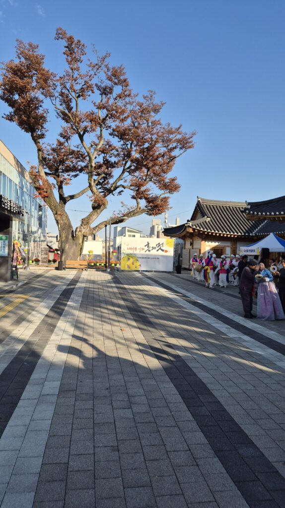 진잠동 주민센터 200년된 느티나무