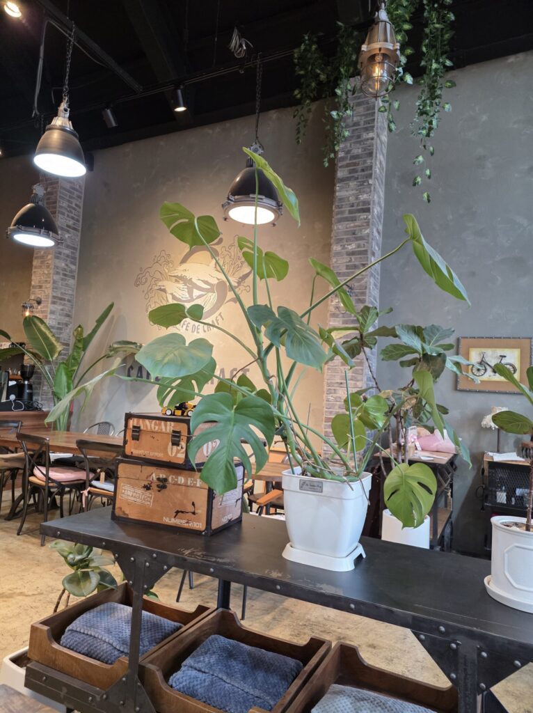 카페드크래프트 대전관저점 무릎담요있으니 챙기시길