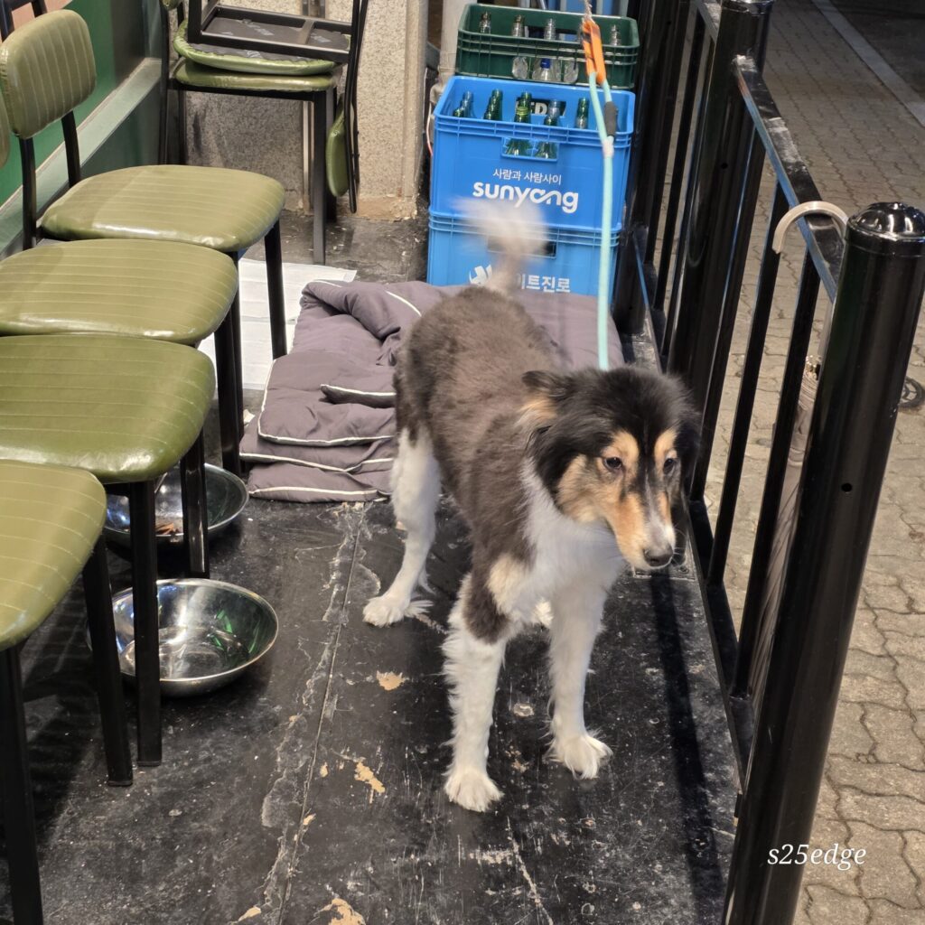 관저동 담가화로구이 마스코트 