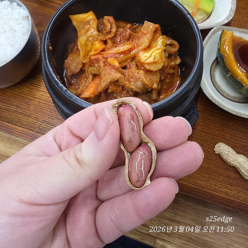 한끼밥상 제육볶음 후식은 구운 땅콩