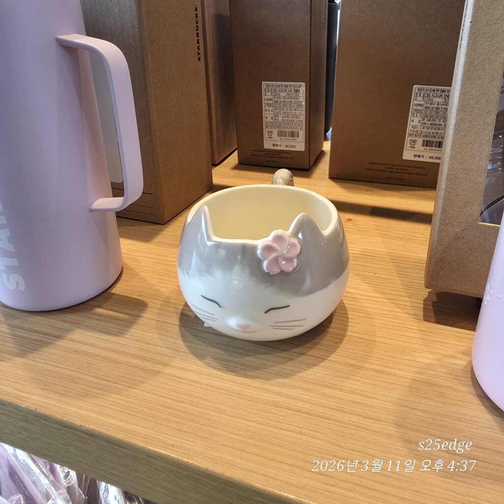 스타벅스 고양이 머그잔