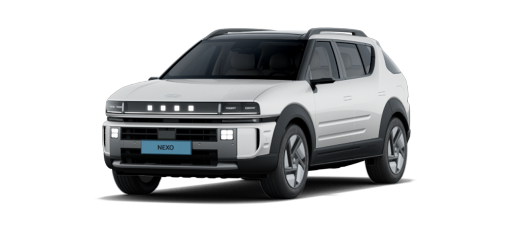 현대 수소차 넥쏘 2부제 해당없는 차량