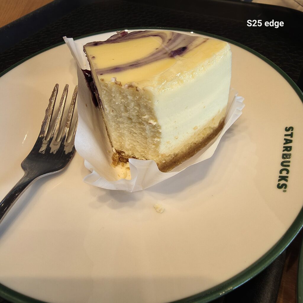꾸덕함의 강자 스벅 블루베리 마블 치즈케이크