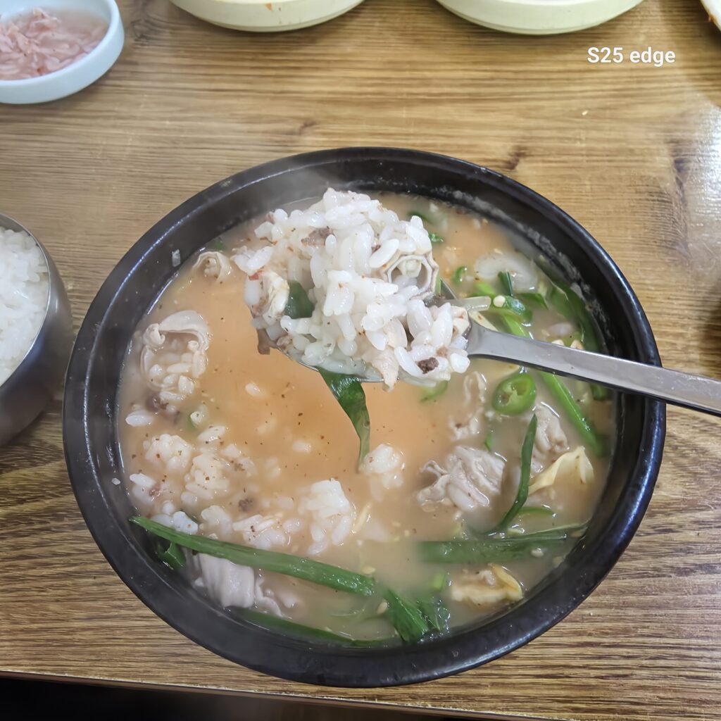 대전 순대국밥 맛집 한우물순대 