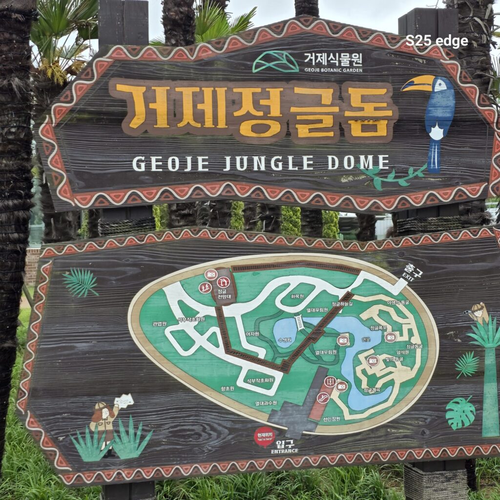 거제정글돔 약도