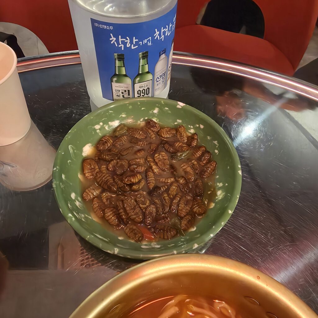 원내동 술집 동네마실 기본안주 번데기탕
